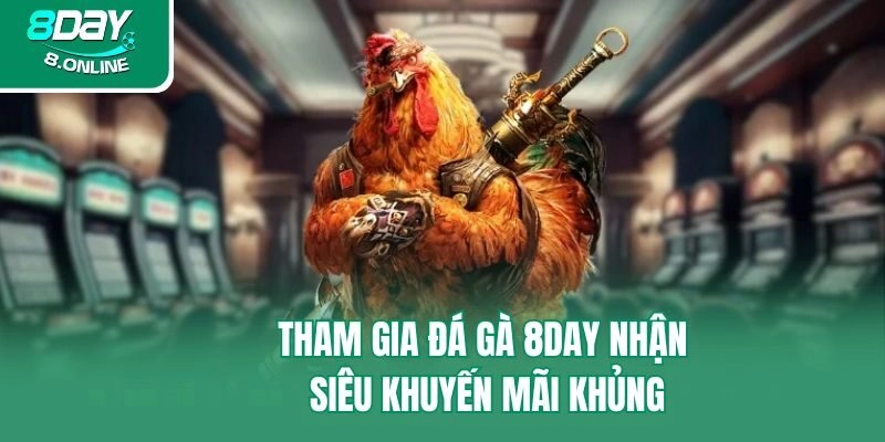 Tham gia đá gà 8day nhận siêu khuyến mãi khủng